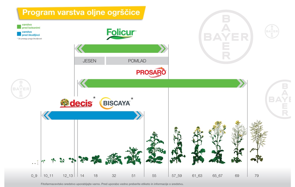 Bayer Crop Science